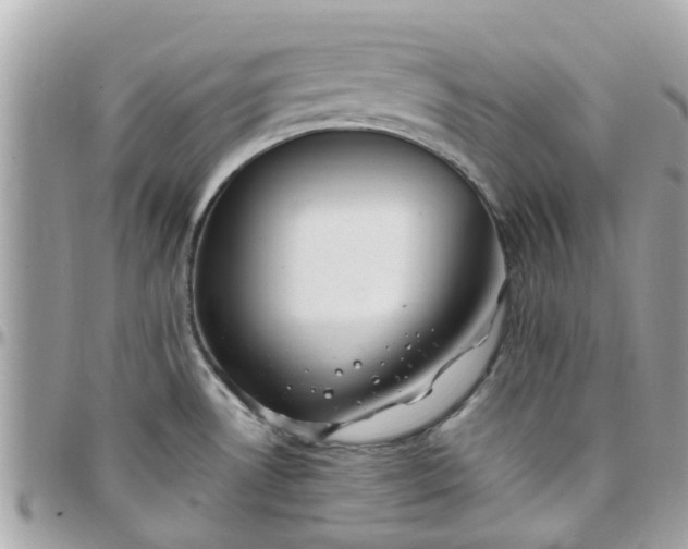 X0000097761530200803211703