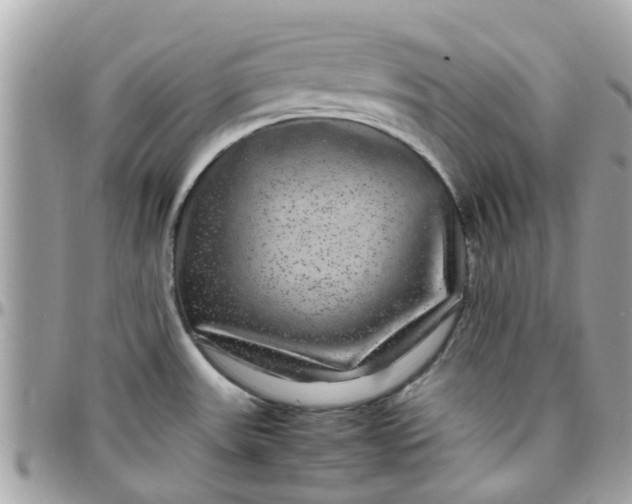 X0000097761531200803211703