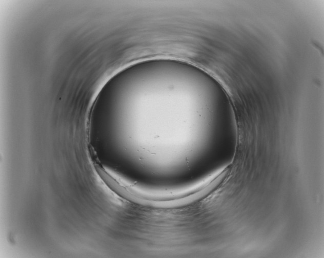 X0000097761532200803211703