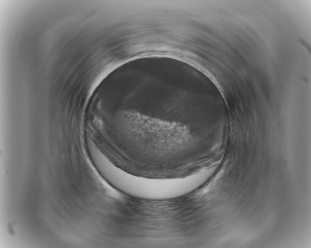 X0000097761533200803211703