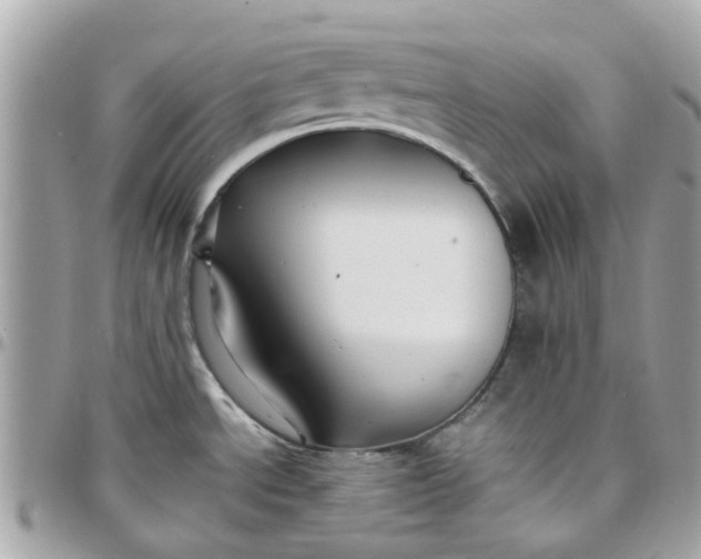 X0000097761534200803211703