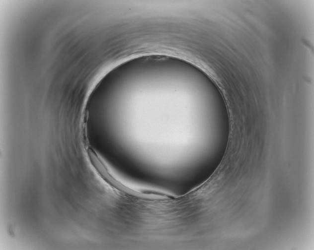 X0000097761536200803211703