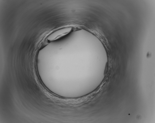 X0000097760001200803281645