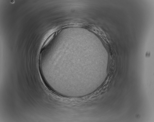 X0000097760003200803281645