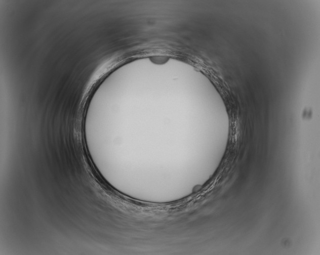 X0000097760004200803281645