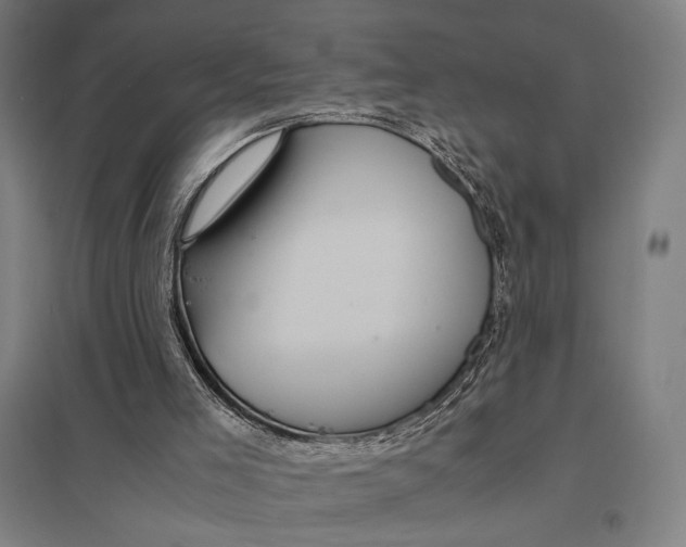 X0000097760005200803281644