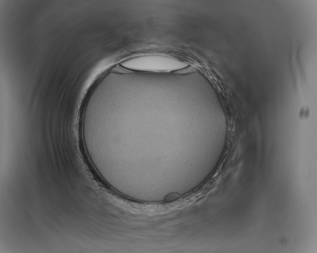 X0000097760006200803281644