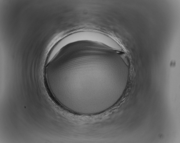 X0000097760007200803281644