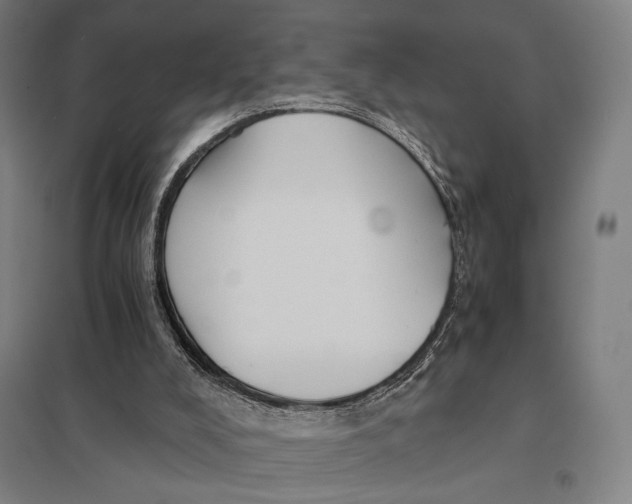 X0000097760008200803281644