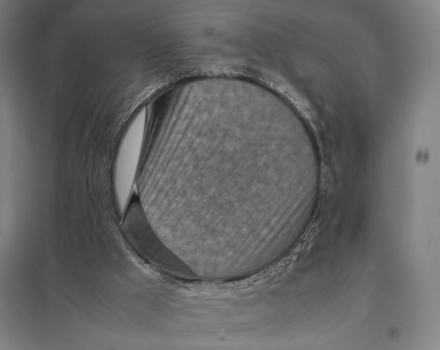 X0000097760009200803281644