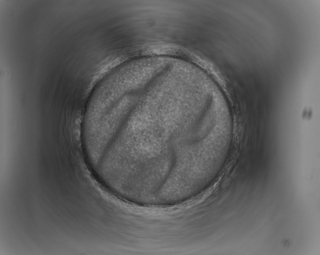 X0000097760010200803281644