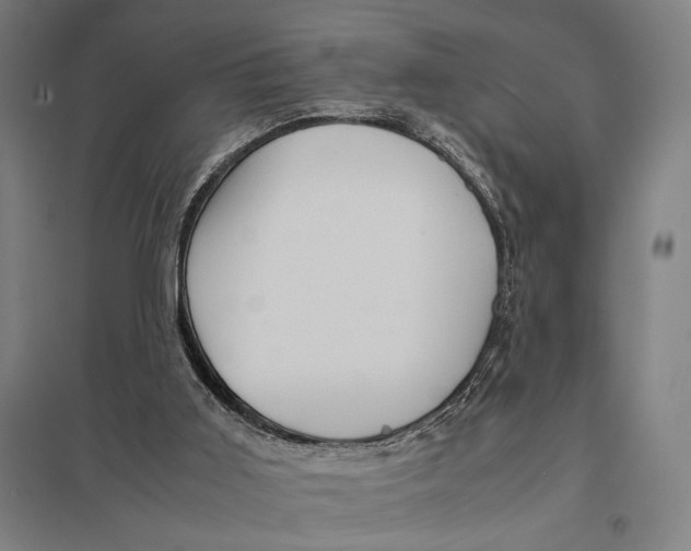 X0000097760011200803281644