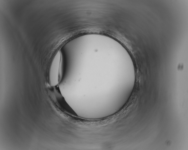 X0000097760013200803281644