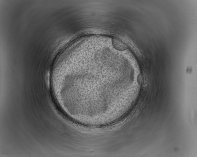 X0000097760014200803281644