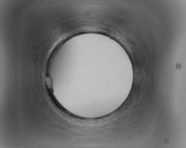 X0000097760015200803281644