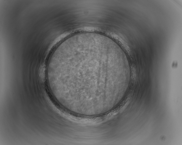 X0000097760016200803281644