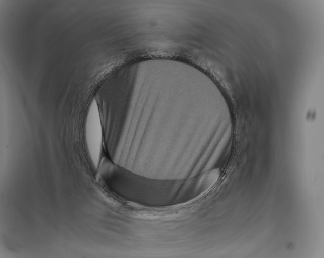 X0000097760017200803281644