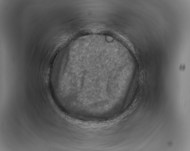 X0000097760018200803281644