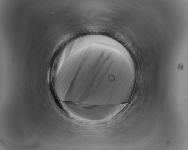 X0000097760019200803281644