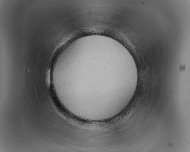 X0000097760020200803281644