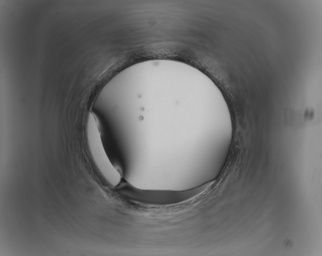 X0000097760021200803281644