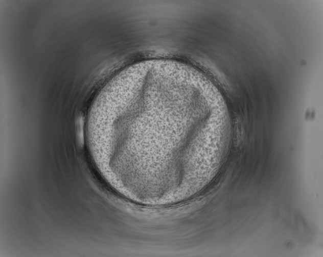 X0000097760022200803281644