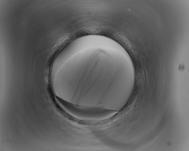 X0000097760023200803281644