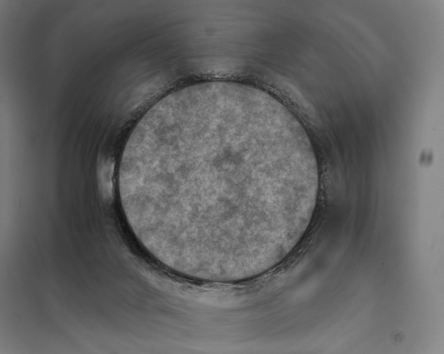 X0000097760024200803281644