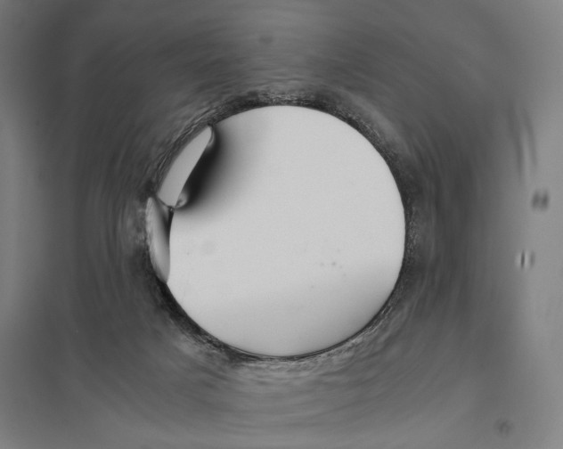 X0000097760025200803281644