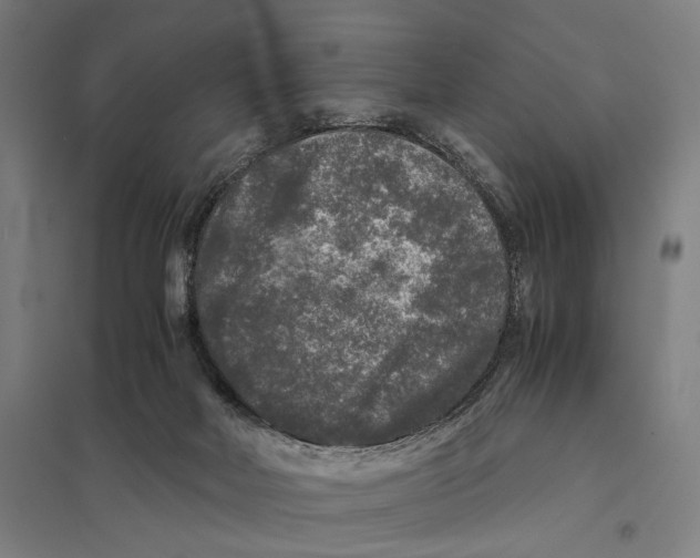 X0000097760026200803281644