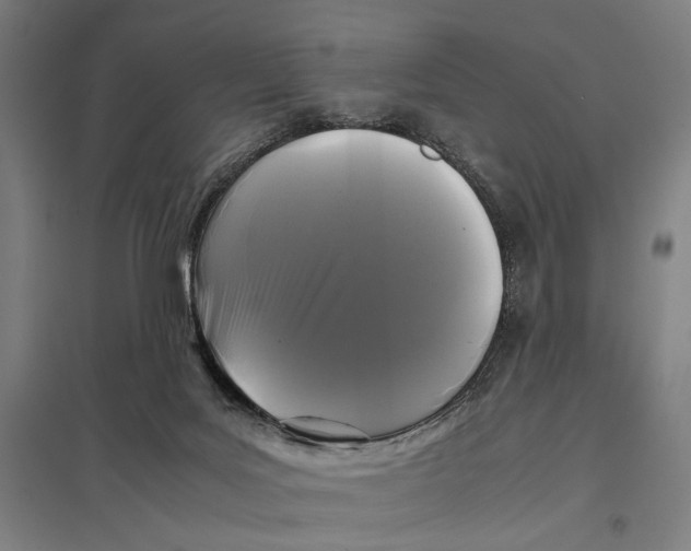 X0000097760027200803281644