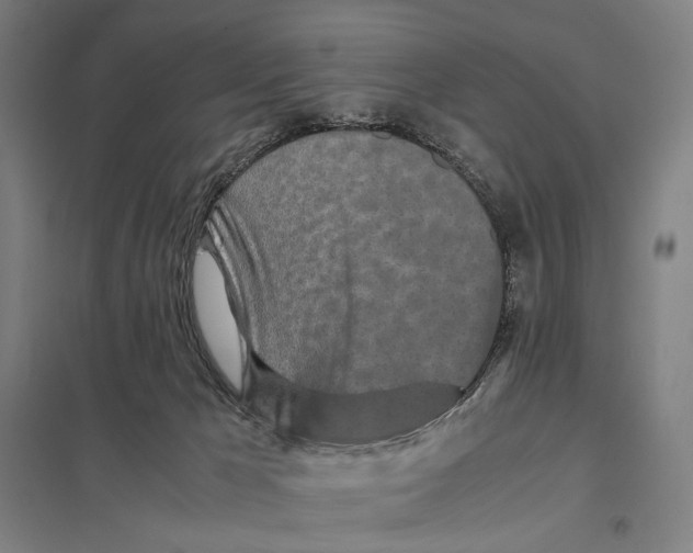 X0000097760029200803281644