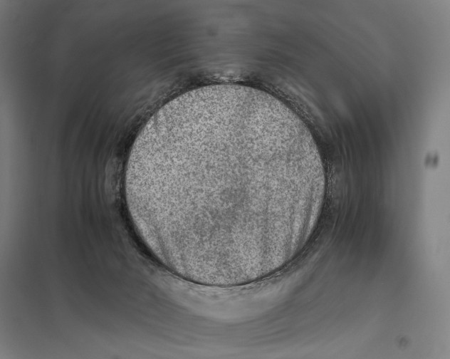 X0000097760030200803281644