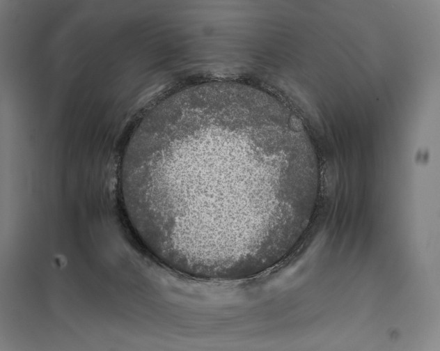 X0000097760032200803281644