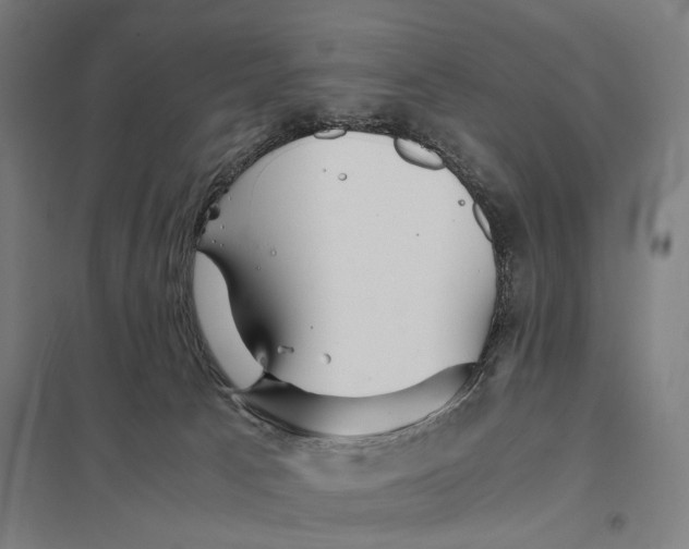 X0000097760033200803281644