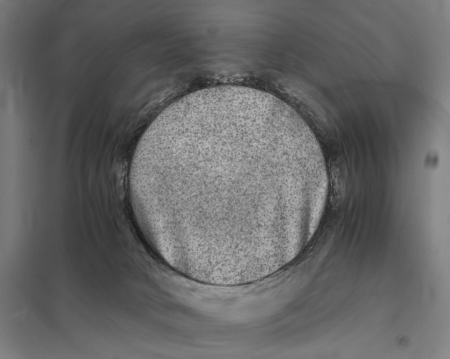 X0000097760034200803281644