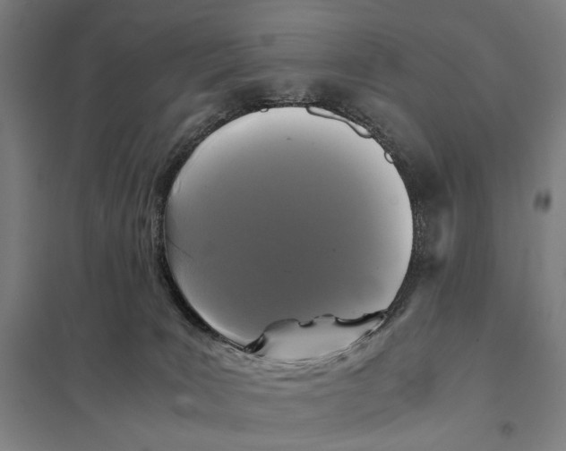 X0000097760035200803281644