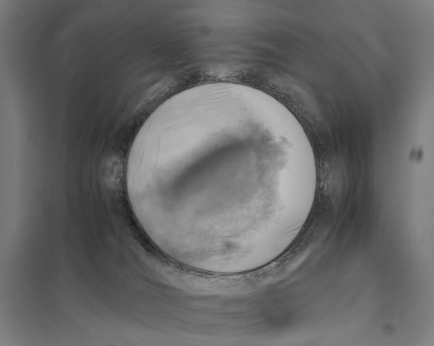 X0000097760036200803281644