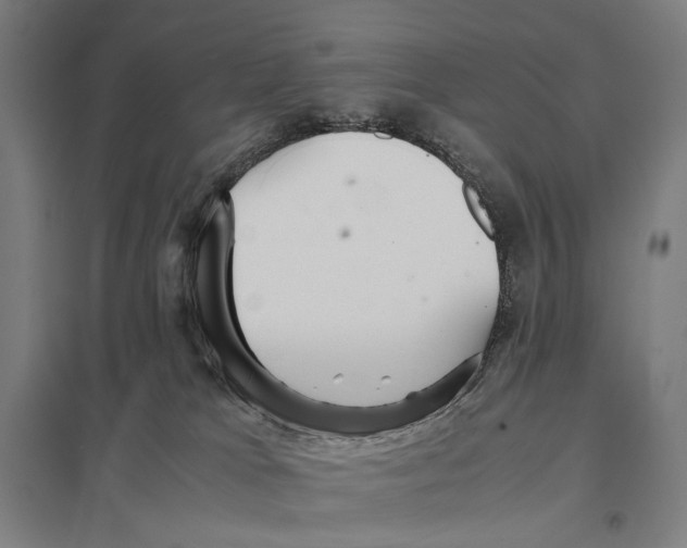 X0000097760037200803281644