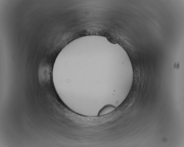 X0000097760038200803281644