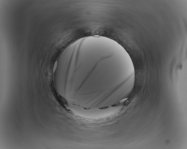 X0000097760039200803281644