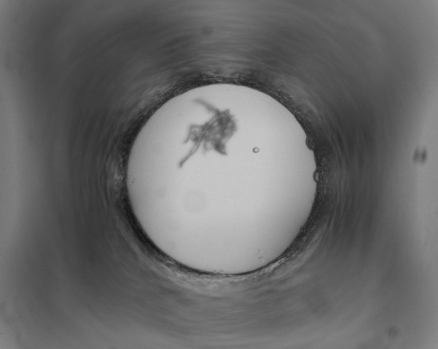 X0000097760040200803281644