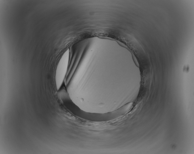 X0000097760041200803281644