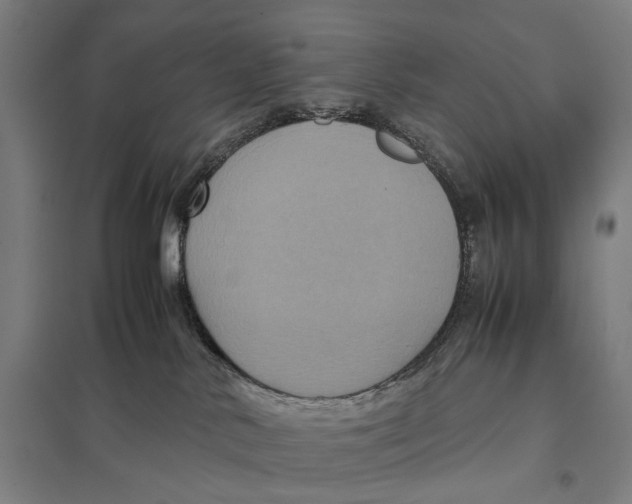 X0000097760042200803281644