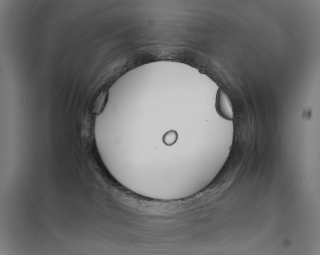 X0000097760044200803281644