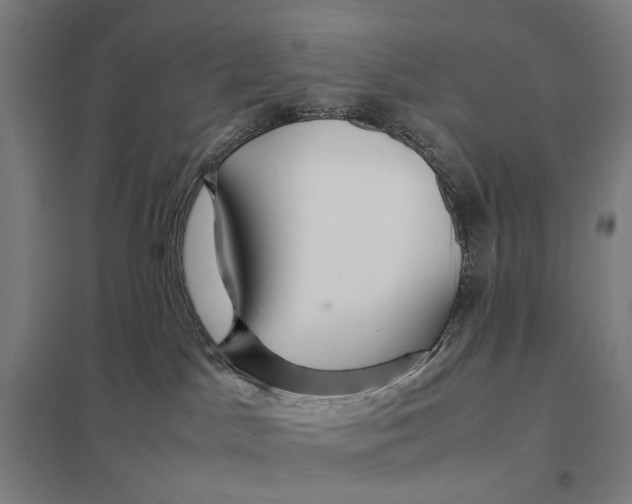 X0000097760045200803281644