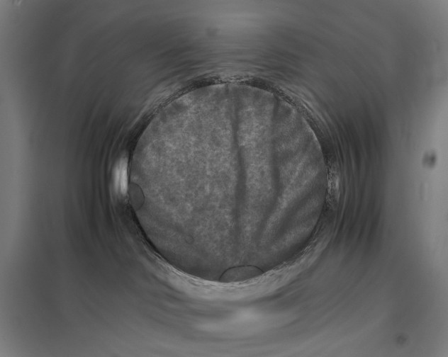 X0000097760046200803281644