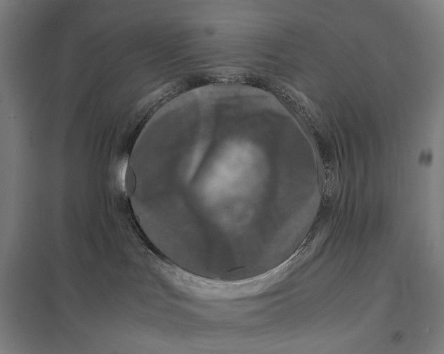 X0000097760047200803281644