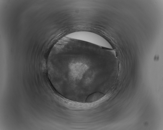 X0000097760048200803281644