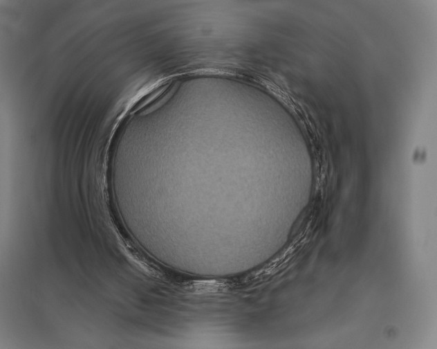 X0000097760050200803281643